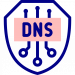 dns